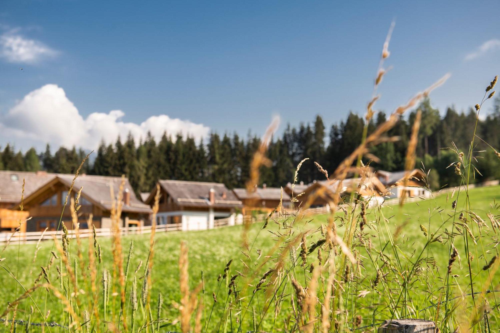 Lerchpeuntgut Alpenfreud Apartments Tamsweg Eksteriør bilde